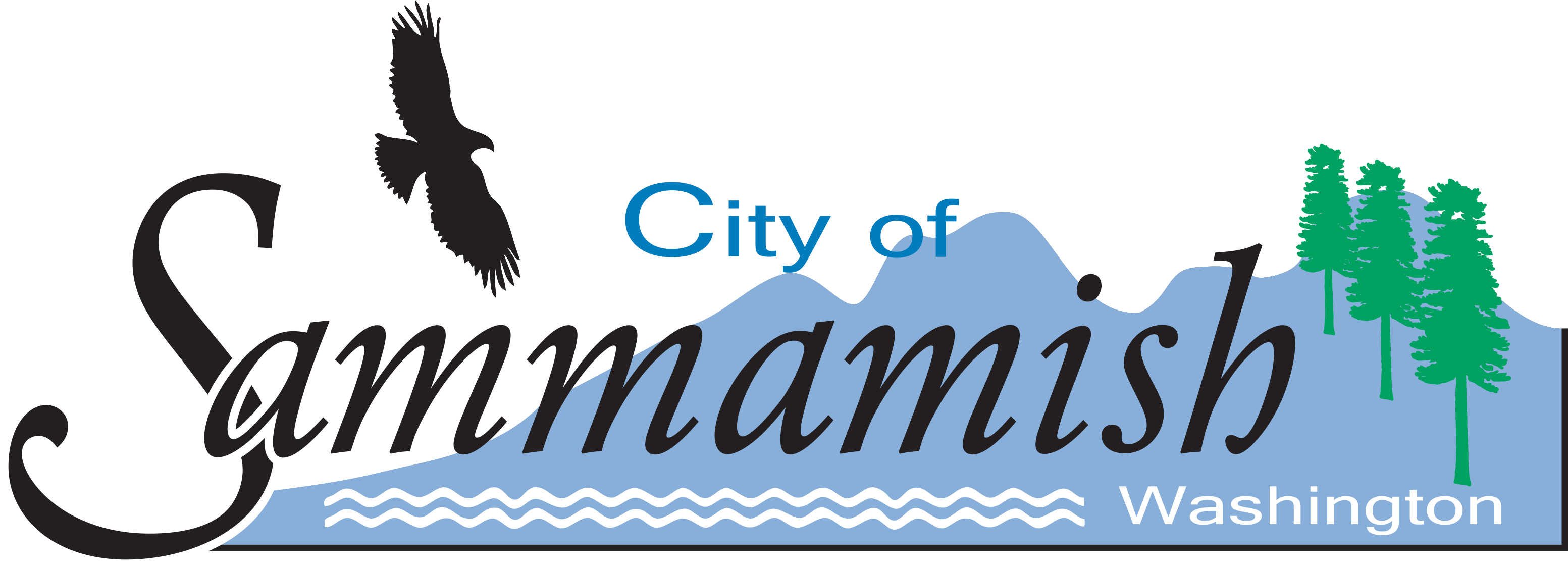 Looking for professional cleaning services in Sammamish WA? We are here to help.
